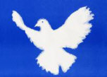 Friedensinitiative